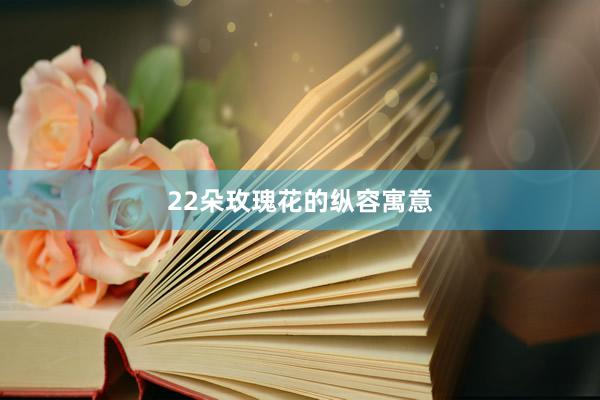 22朵玫瑰花的纵容寓意