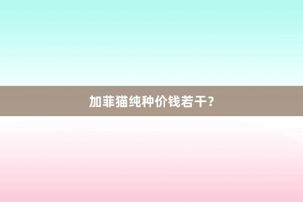 加菲猫纯种价钱若干?