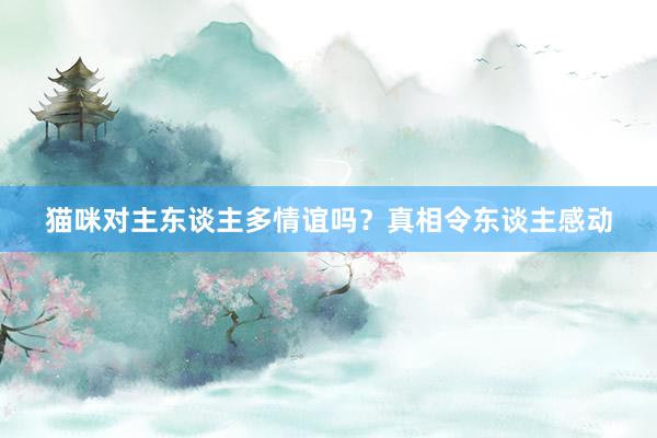 猫咪对主东谈主多情谊吗？真相令东谈主感动