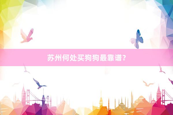 苏州何处买狗狗最靠谱？